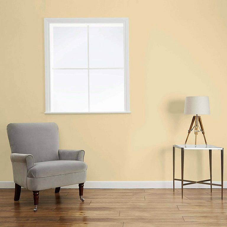 Pale Gold Paint InteriorStore.eu