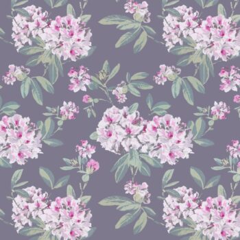 Adeline Graphite Tapeet